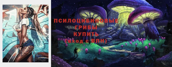 тгк Балахна