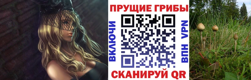 OMG как зайти  Верхотурье  Галлюциногенные грибы Psilocybe 